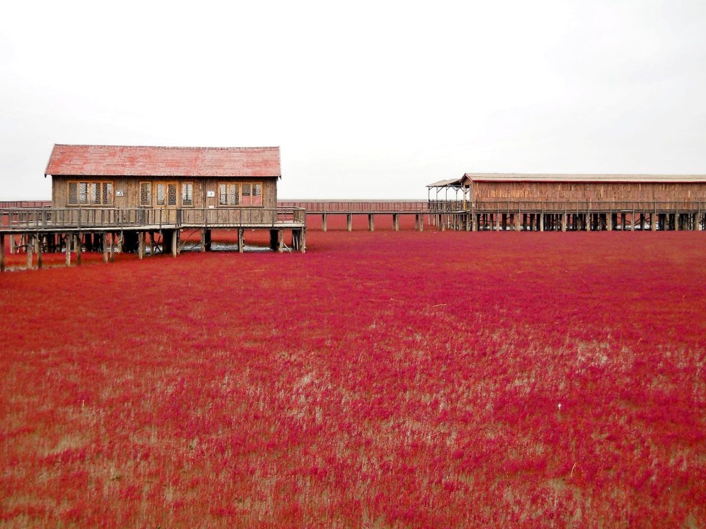 中国旅行