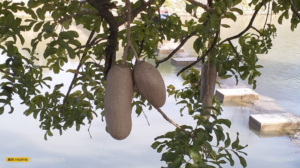 インパール作戦