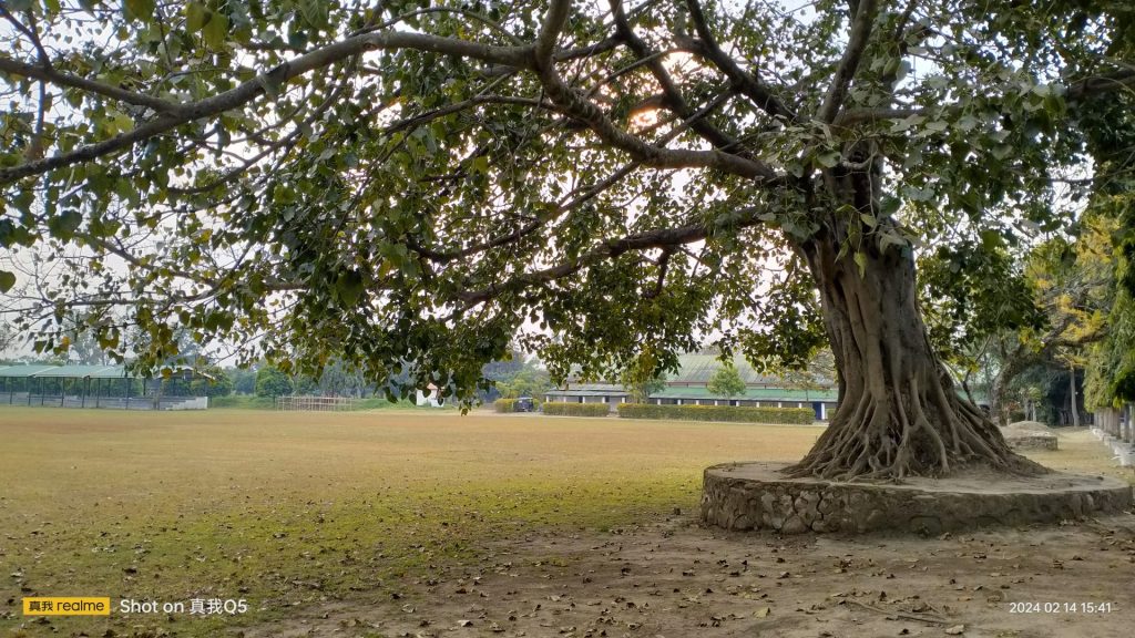 インパール作戦