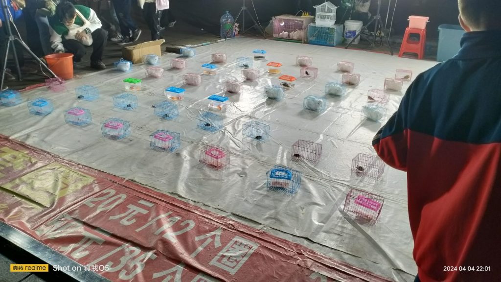 湖南省 旅行