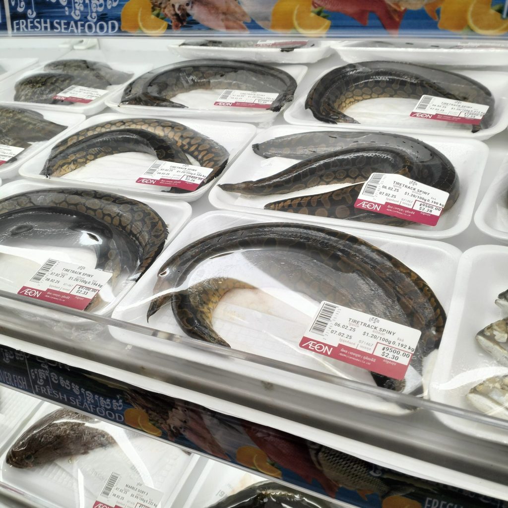 カンボジア旅行