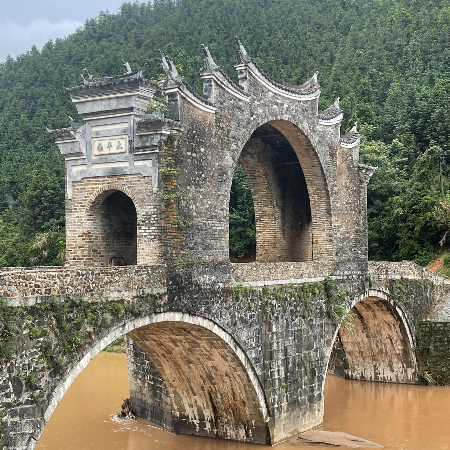 中国 観光