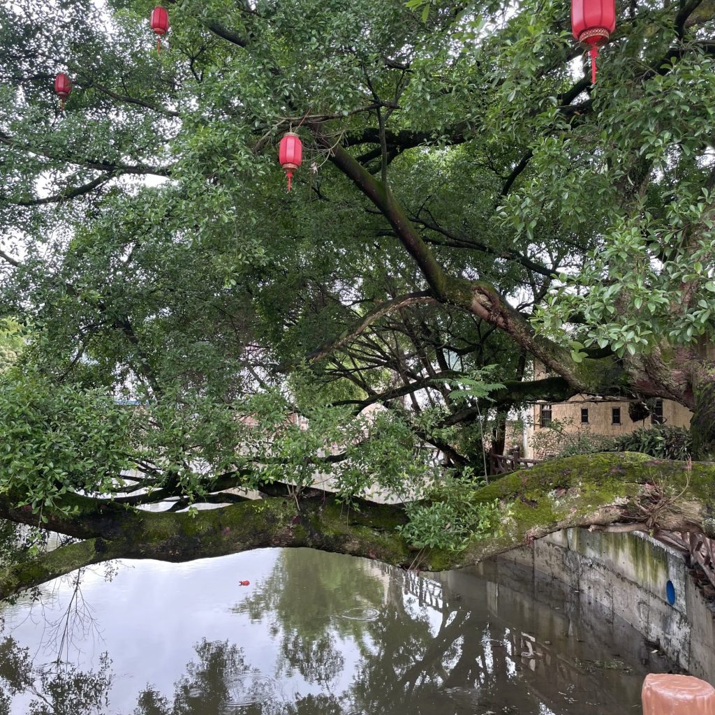 中国 観光
