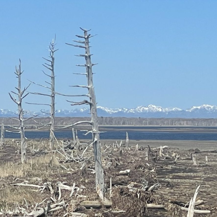 北海道　旅行