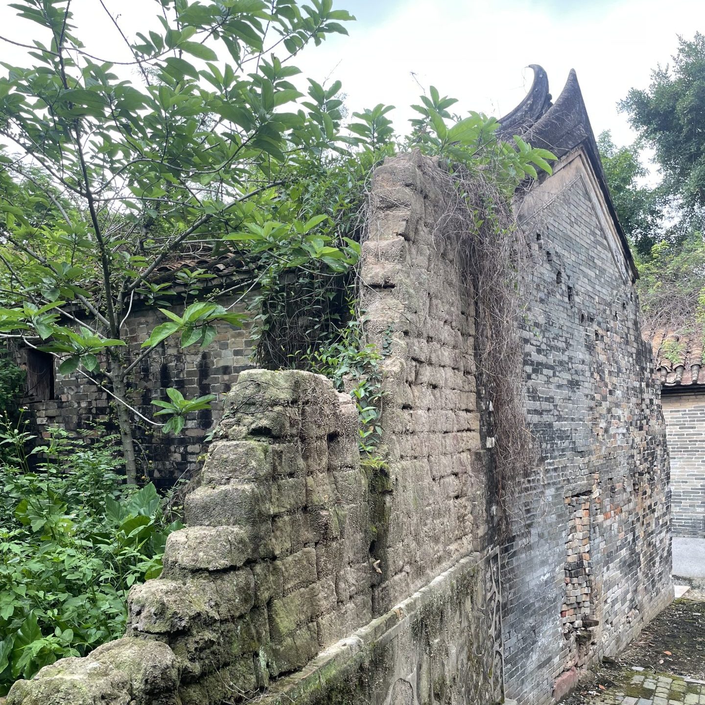 広東　旅行