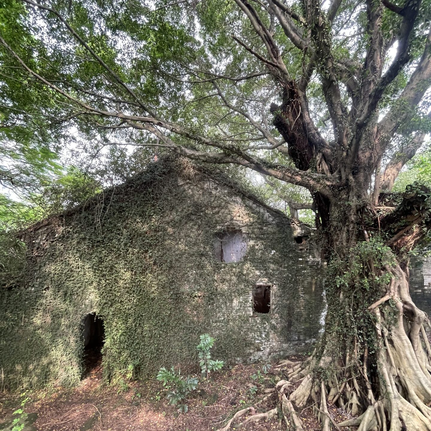広東　旅行