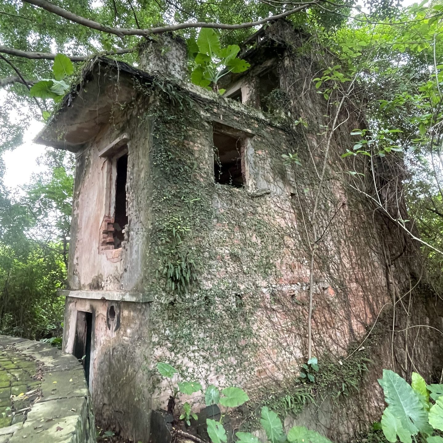 広東　旅行