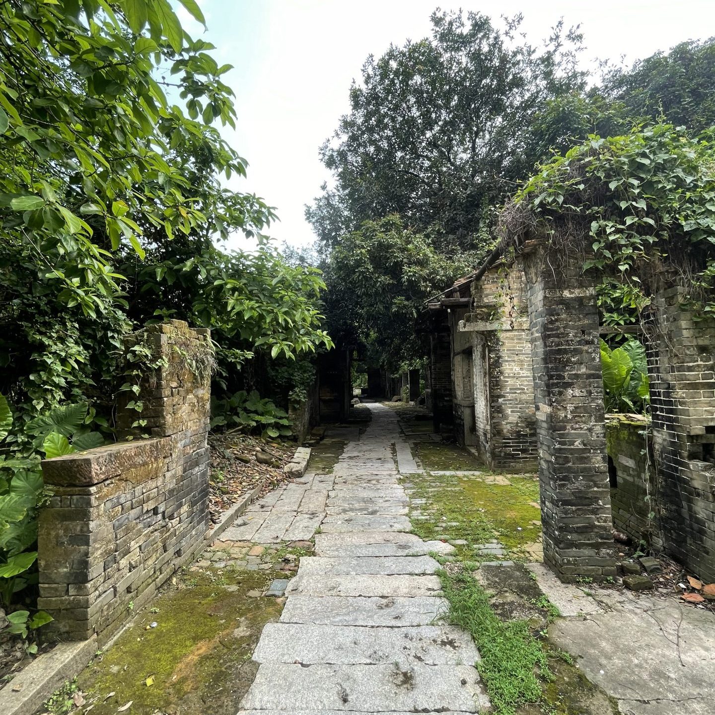 広東　旅行
