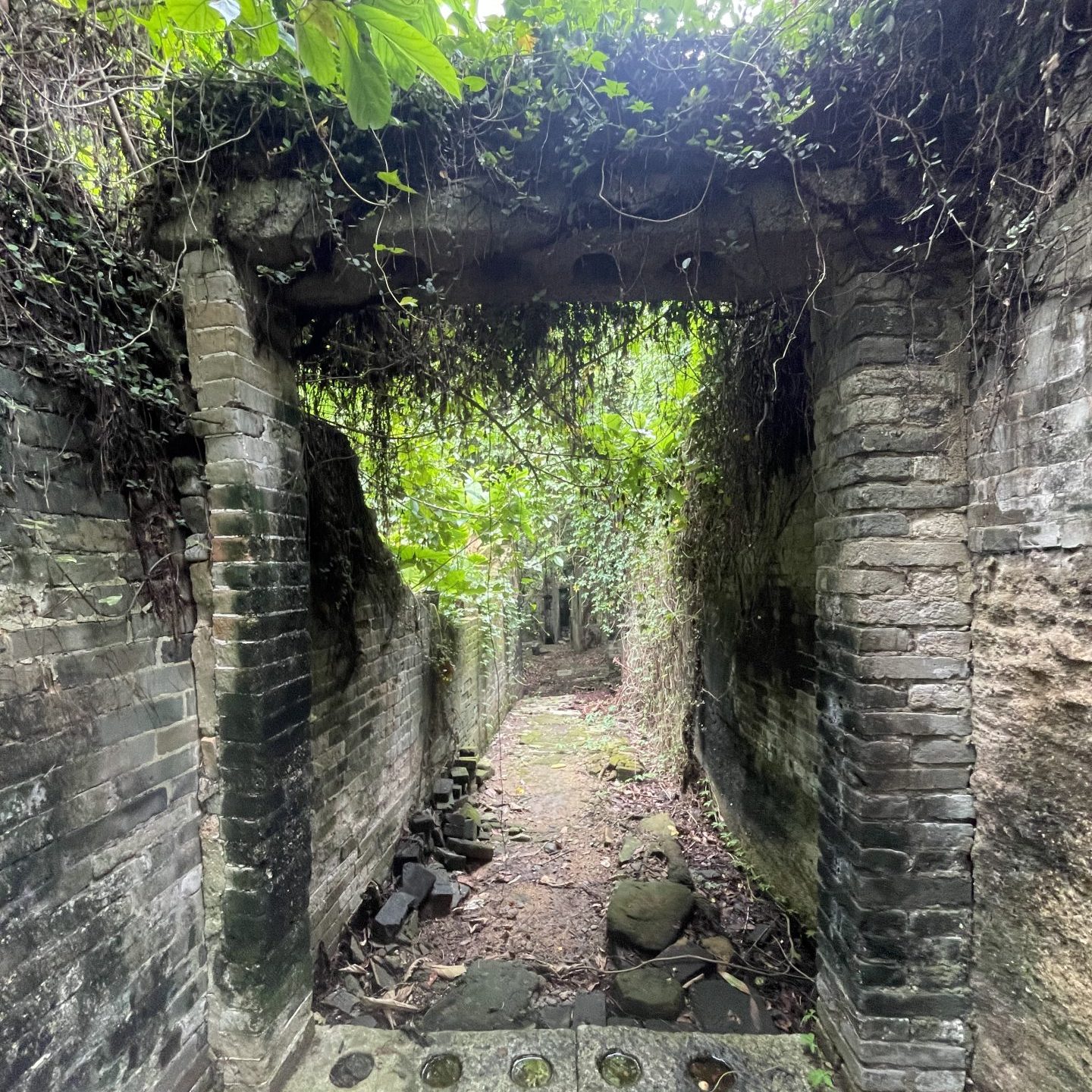 広東　旅行